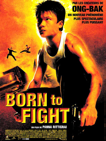 affiche de Born to Fight